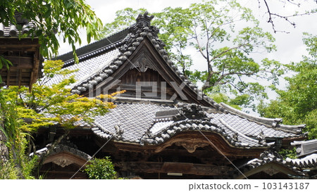 岐阜縣大垣市妙淨林寺 岐阜縣大垣市妙淨林寺 103143187