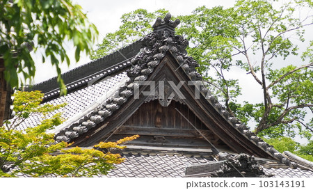 岐阜縣大垣市妙淨林寺 103143191