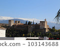 View of the Alhambra from the Albaicin 103143688