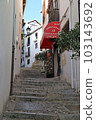 Cobbled streets of Granada's Arab culture 103143692