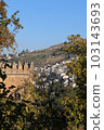 A view from the Alhambra 103143693