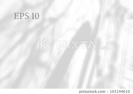 Transparent natural plant shadow. Light effect overlay. Mesh grid. Shadows  from branches, plant, foliage and leaves on ground. Presentation your  design card, poster Photo realistic vector Stock Vector