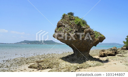 濱比嘉島(沖繩縣)的珊瑚劇變 濱比嘉島(沖繩縣)的珊瑚劇變 103144807