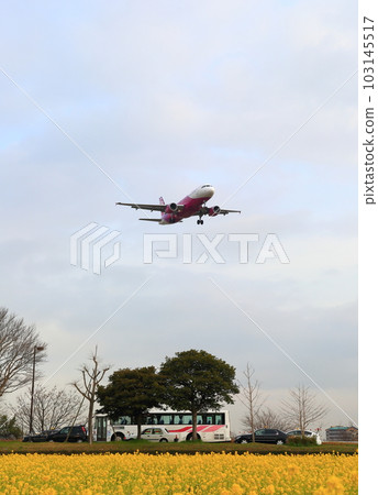 Airport 103145517