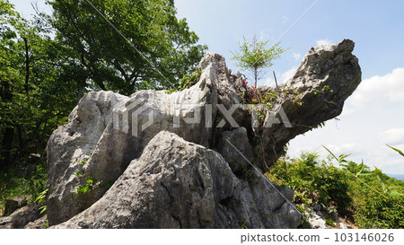 Kameiwa, Iwasu Park, Ogaki City, Gifu Prefecture Kameiwa, Iwasu Park, Ogaki City, Gifu Prefecture 103146026