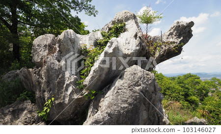 Kameiwa, Iwasu Park, Ogaki City, Gifu Prefecture Kameiwa, Iwasu Park, Ogaki City, Gifu Prefecture 103146027