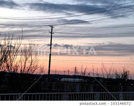 Dusk of spring 103146072