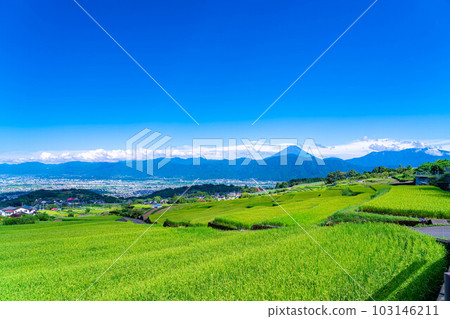 [Summer material] Mt.Fuji seen from terraced rice fields in Nakano [Yamanashi Prefecture] 103146211