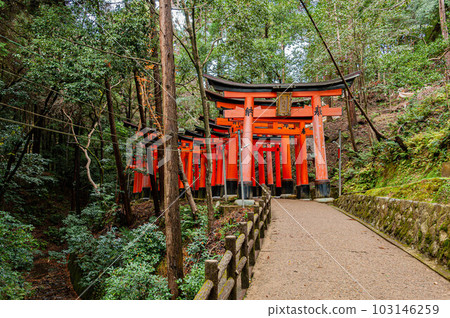 京都伏見稻荷大社山中千鳥居 103146259