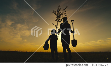 fresh tree seedling sunset, young roots, soil ground, plant garden, silhouette happiness family mother child, group family plant tree forest, family planting tree, hands child parent, father daughter 103146273