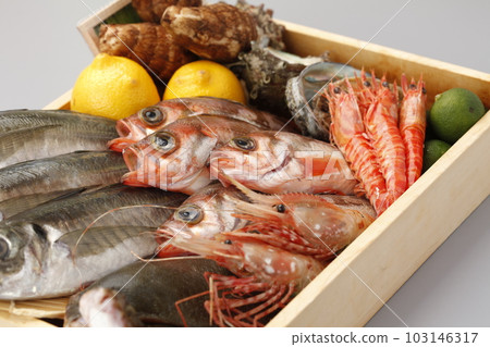 海鮮netatro box 5 103146317