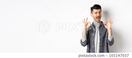 All okay. Handsome caucasian man showing OK signs and smiling, winking to praise good thing, recommending excellent offer, standing on white background 103147037