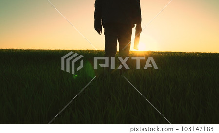 farmer worker walks through green field wheat with digital tablet his hand. smart farm. farming concept. griculture. farm walk boots farm.farmer with digital tablet walks rubber boots through green farmer worker walks through green field wheat with digital tablet his hand. smart farm. farming concept. griculture. farm walk boots farm.farmer with digital tablet walks rubber boots through green 103147183