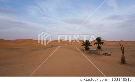 Sahara Desert, view of Chebbi dunes [Morocco Merzouga] 103148813