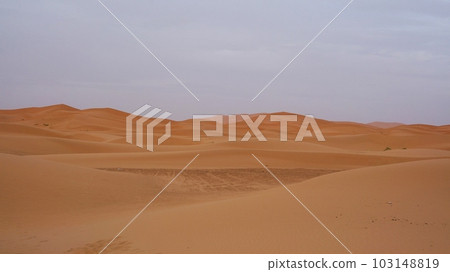 Sahara Desert, view of Chebbi dunes [Morocco Merzouga] 103148819