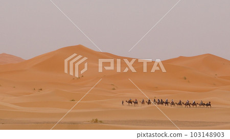 Sahara Desert, the view of the Chebbi dunes and the procession of camels [Morocco Merzouga] 103148903