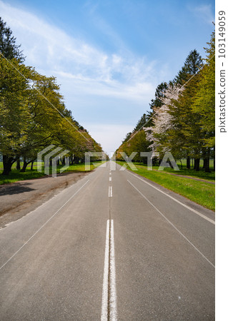 北海道日高郡新日高町二重間路櫻花靜內 北海道日高郡新日高町二重間路櫻花靜內 103149059
