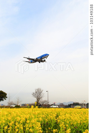 機場 103149188