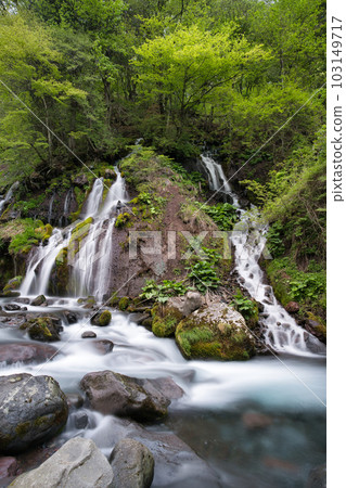 Fresh green Toryu Falls 103149717