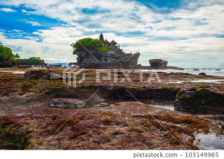 Pura Tanah Lot Temple, Bali Pura Tanah Lot Temple, Bali 103149965