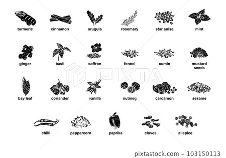 herb, sketch, spices 103150113