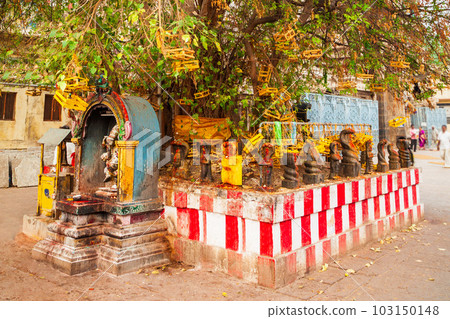 Holy tree at Meenakshi Temple Holy tree at Meenakshi Temple 103150148