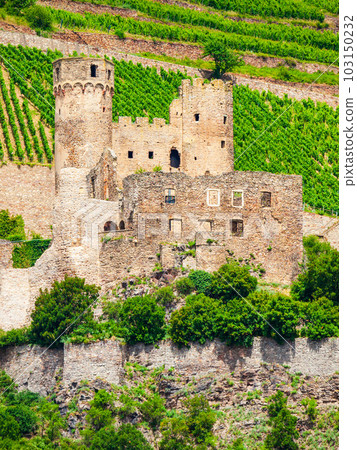 Burg Ehrenfels Castle in Rudesheim 103150232