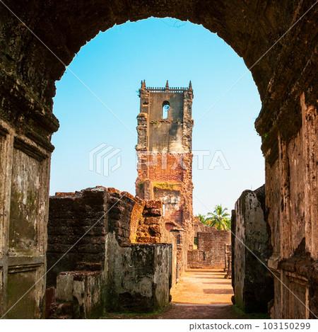 St. Augustine ruined church, Goa 103150299