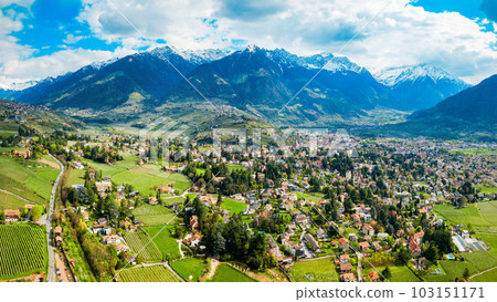 South Tyrol vineyards aerial view South Tyrol vineyards aerial view 103151171