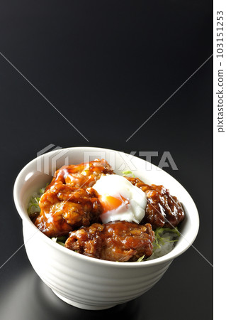 Take a picture of a fried chicken rice bowl with a black background 103151253