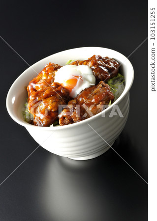 黑底炸雞蓋飯圖片 黑底炸雞蓋飯圖片 103151255