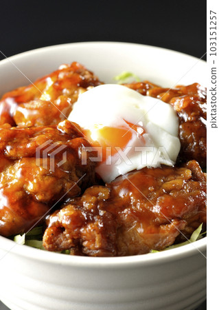 黑底炸雞蓋飯圖片 103151257