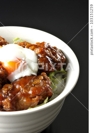 黑底炸雞蓋飯圖片 黑底炸雞蓋飯圖片 103151259
