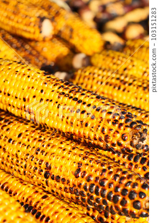 Grilled Corn for sale in a market stall in istanbul  Grilled Corn for sale in a market stall in istanbul  103151283