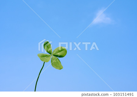 Yotsuba's clover and blue sky 103151491