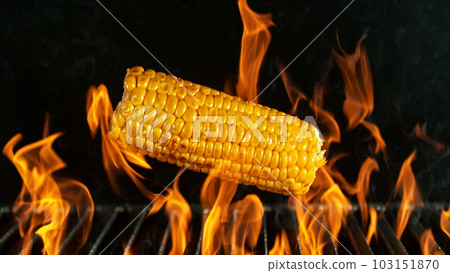Barbecue Grill WIth Falling Corn. 103151870