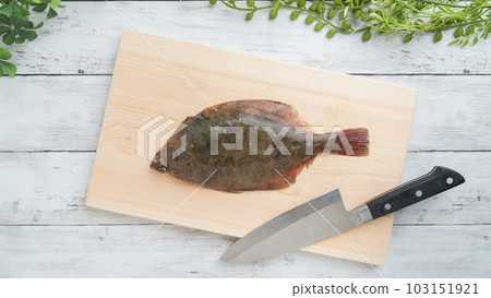 砧板上的馬加雷(日本比目魚) 砧板上的馬加雷(日本比目魚) 103151921