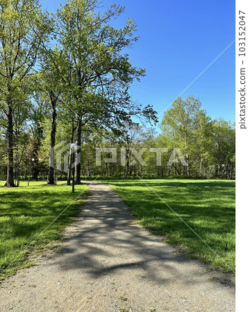 a path in the park crossing the green lawn and leading into the deciduous forest on a sunny day. High quality photo. 23 may 2023, Russia 103152047