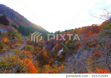 Omoshiroyama Momijigawa Valley Autumn Leaves Yellow Leaves 103152084