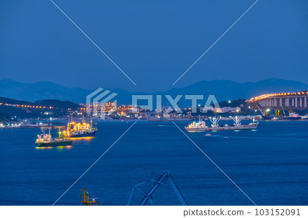 Suspended cable-stayed bridge from the mainland of the Far Eastern city to the Russian Island. The ships are in the roadstead in the Eastern Bosphorus Strait. Vladivostok, Russia. 103152091