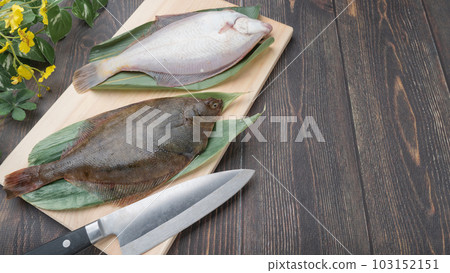 砧板上的馬加雷(日本比目魚) 砧板上的馬加雷(日本比目魚) 103152151