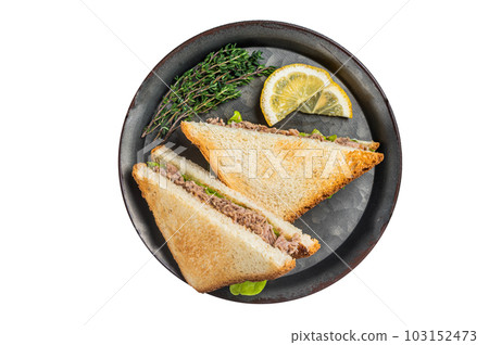 Tuna Salad Sandwich with Cheese, lettuce and herbs. Isolated on white background. 103152473