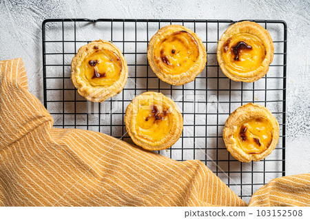 Traditional Portuguese pastry - pastel de nata fresh baked. White background. Top view 103152508