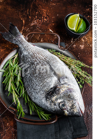 Uncooked Raw sea bream or dorado fish with herbs. Dark background. Top view Uncooked Raw sea bream or dorado fish with herbs. Dark background. Top view 103152700