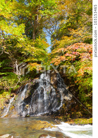 Autumn leaves and immovable waterfall 103153465