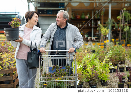 Elderly man and woman buyers carrying purchased plants in shopping trolley Elderly man and woman buyers carrying purchased plants in shopping trolley 103153518