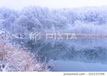 《長野縣》雪景中的中卷湖、霧凇林和湖面倒影 103155399