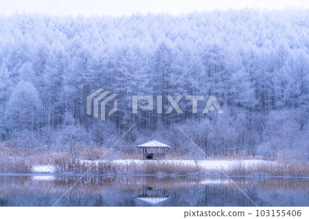 《長野縣》雪景中的中卷湖、霧凇林和湖面倒影 103155406