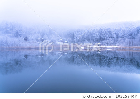《長野縣》雪景中的中卷湖、霧凇林和湖面倒影 103155407