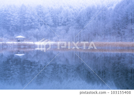 《Nagano Prefecture》Lake Nakamaki in the snowy landscape, rime forest and reflection of the lake 《Nagano Prefecture》Lake Nakamaki in the snowy landscape, rime forest and reflection of the lake 103155408